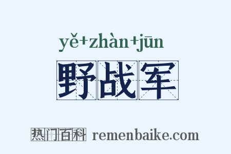 野战军是什么意思的图片
